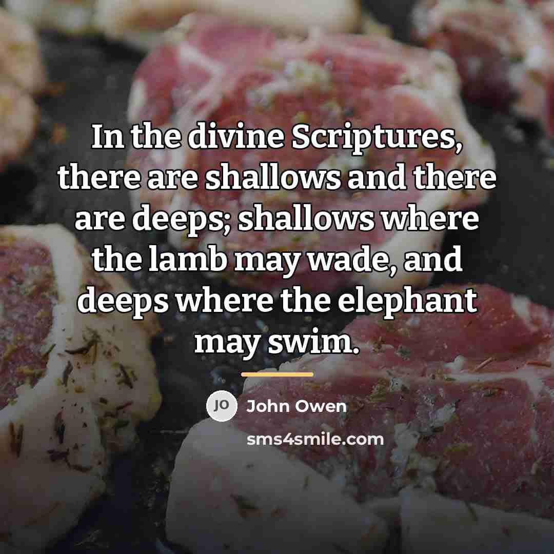“In the divine Scriptures, there are shallows and there are…” quote by John Owen