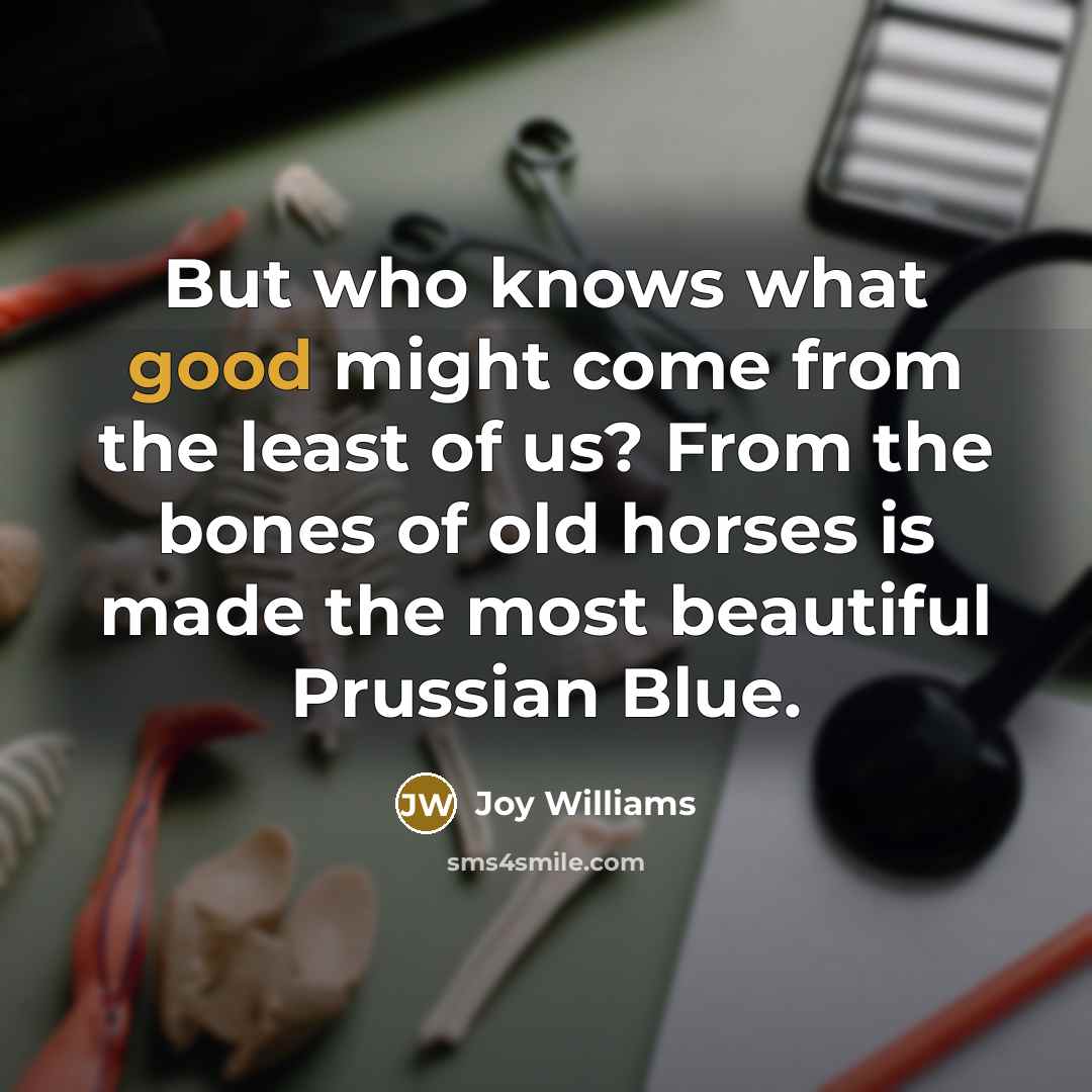 “But who knows what good might come from the least…” quote by Joy Williams