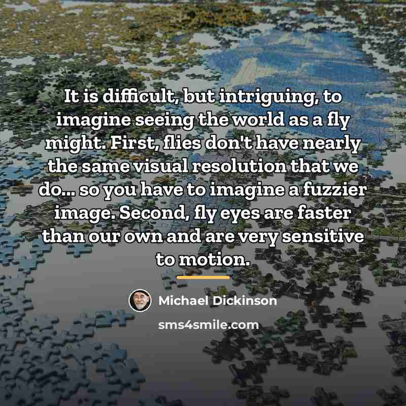 “It is difficult, but intriguing, to imagine seeing the world…” quote by Michael Dickinson