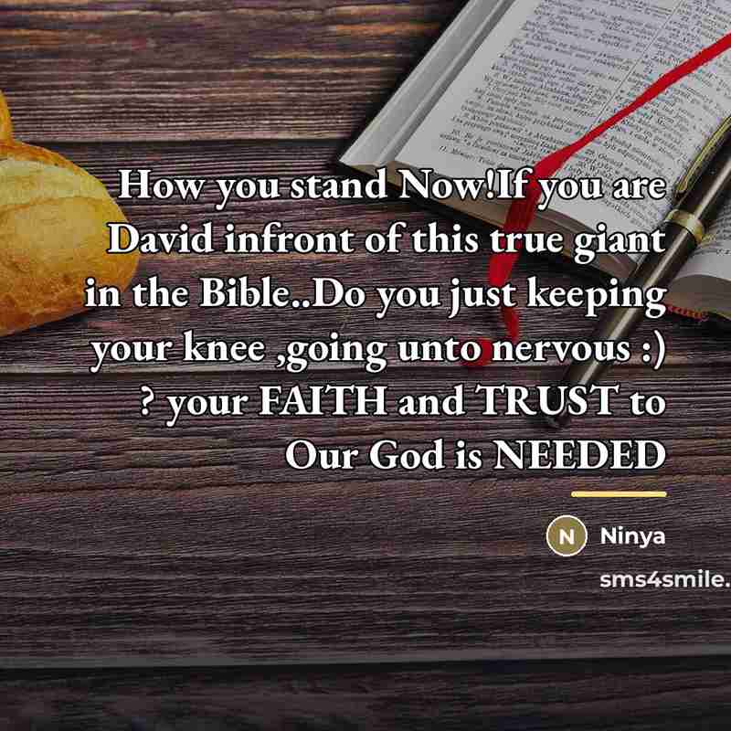 “How you stand Now!If you are David infront of this…” quote by Ninya