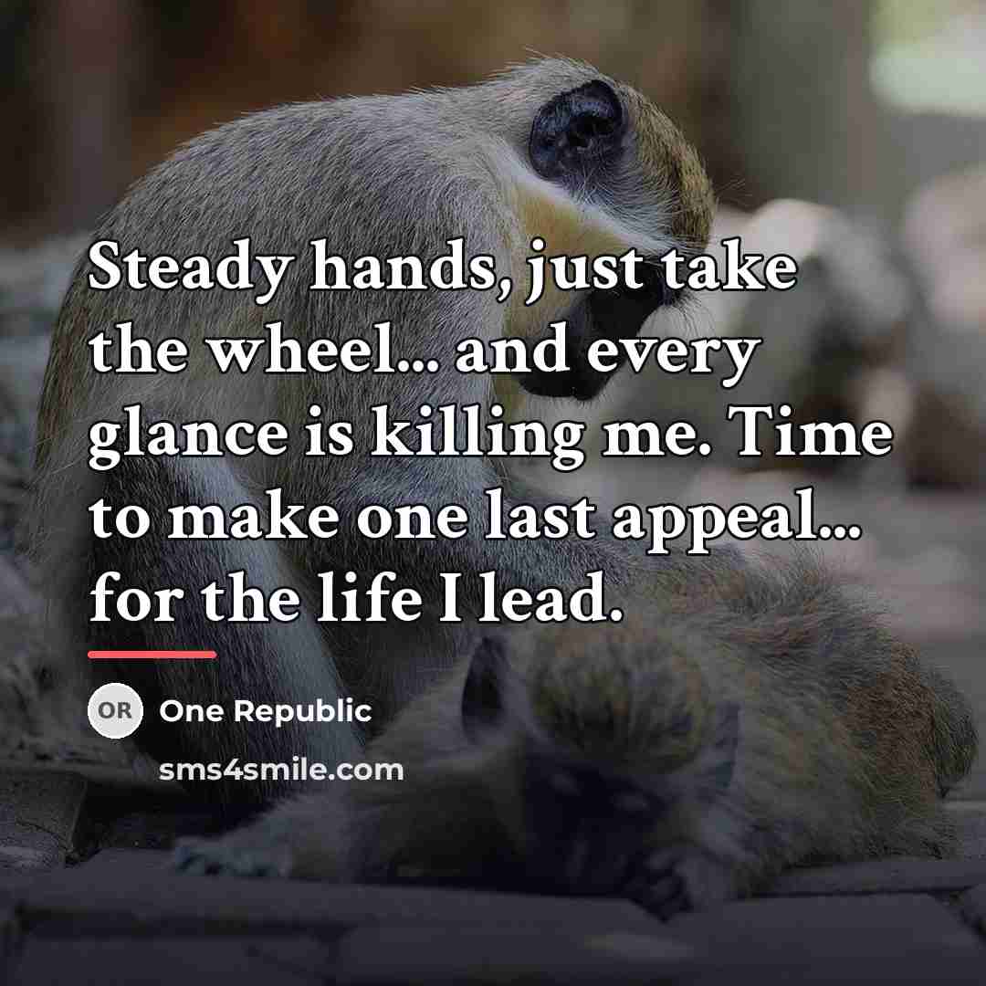 “Steady hands, just take the wheel... and every glance is…” quote by One Republic