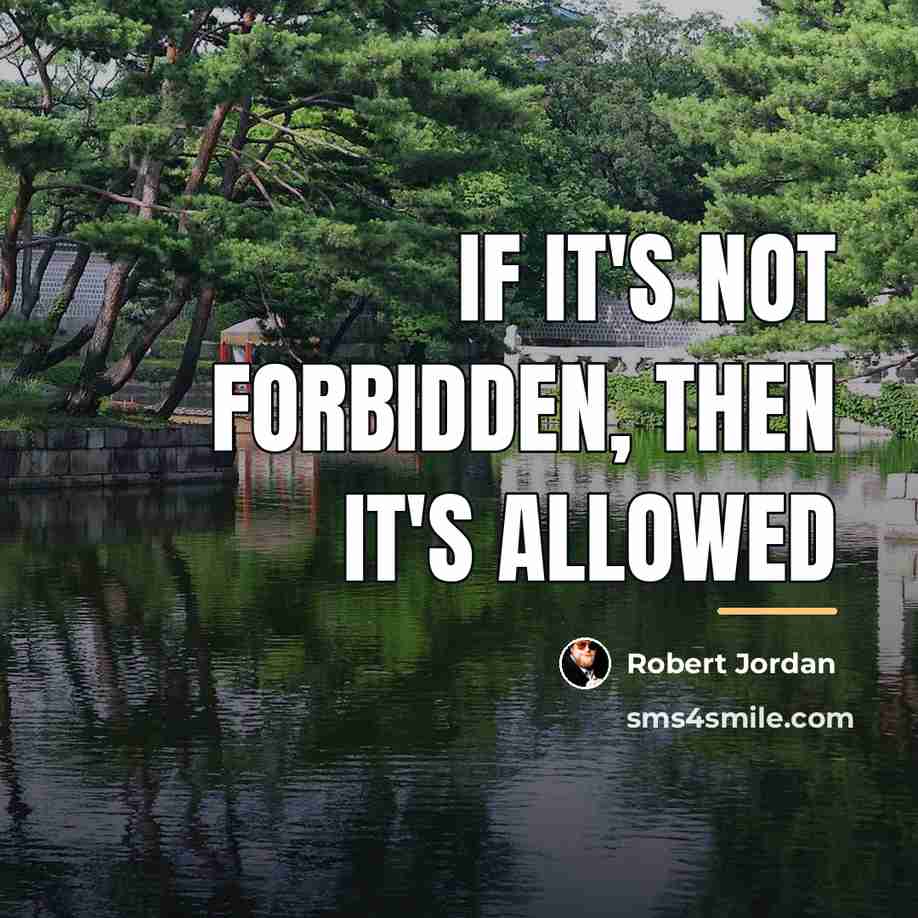“If it's not forbidden, then it's allowed…” quote by Robert Jordan