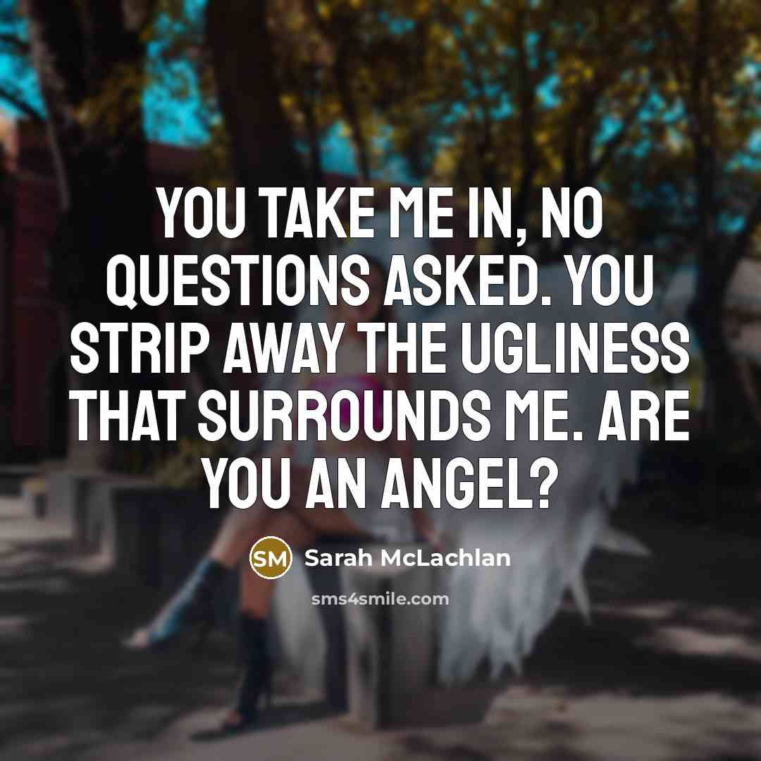 “You take me in, no questions asked. You strip away…” quote by Sarah McLachlan