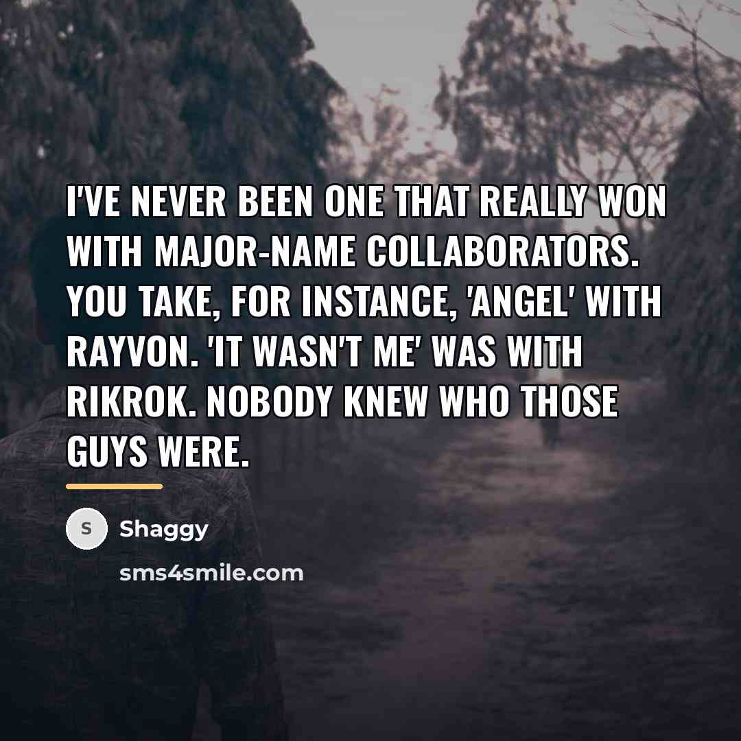 “I've never been one that really won with major-name collaborators.…” quote by Shaggy