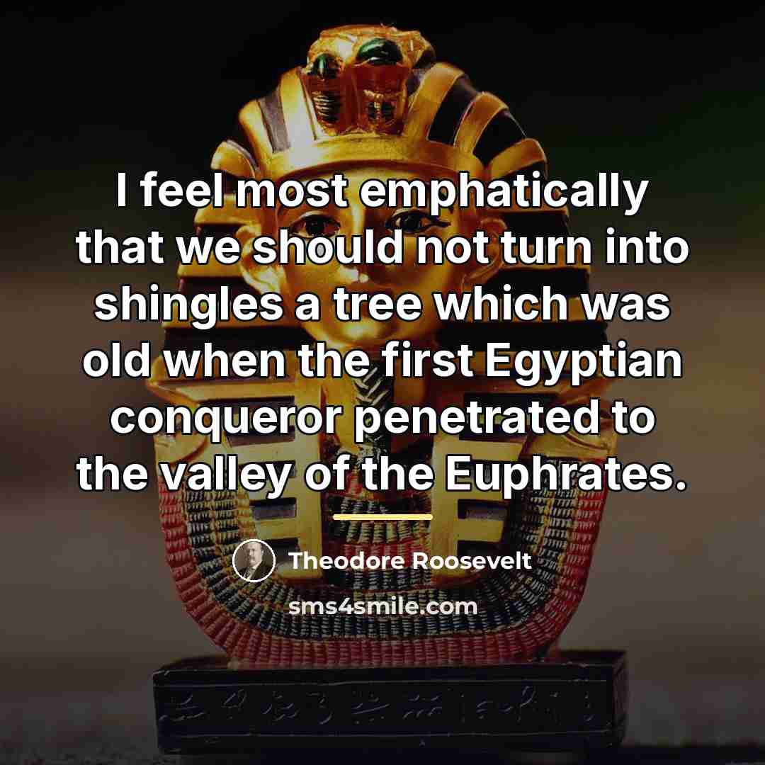 “I feel most emphatically that we should not turn into…” quote by Theodore Roosevelt