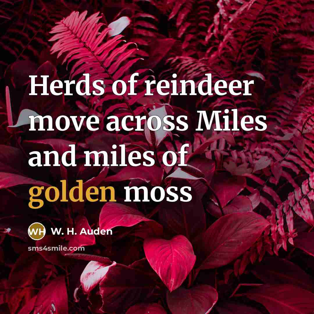 “Herds of reindeer move across Miles and miles of golden…” quote by W. H. Auden