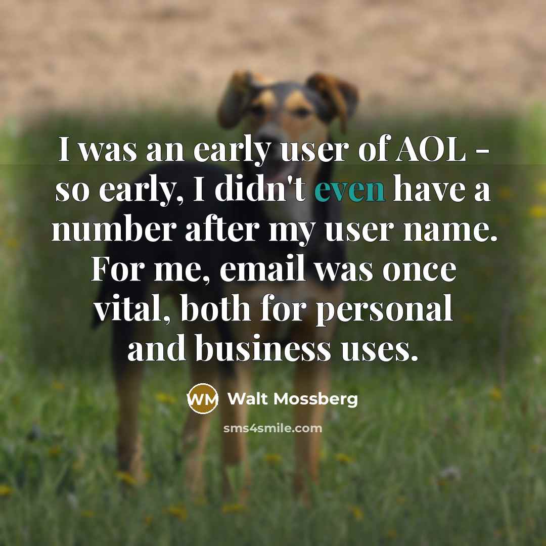 “I was an early user of AOL - so early,…” quote by Walt Mossberg