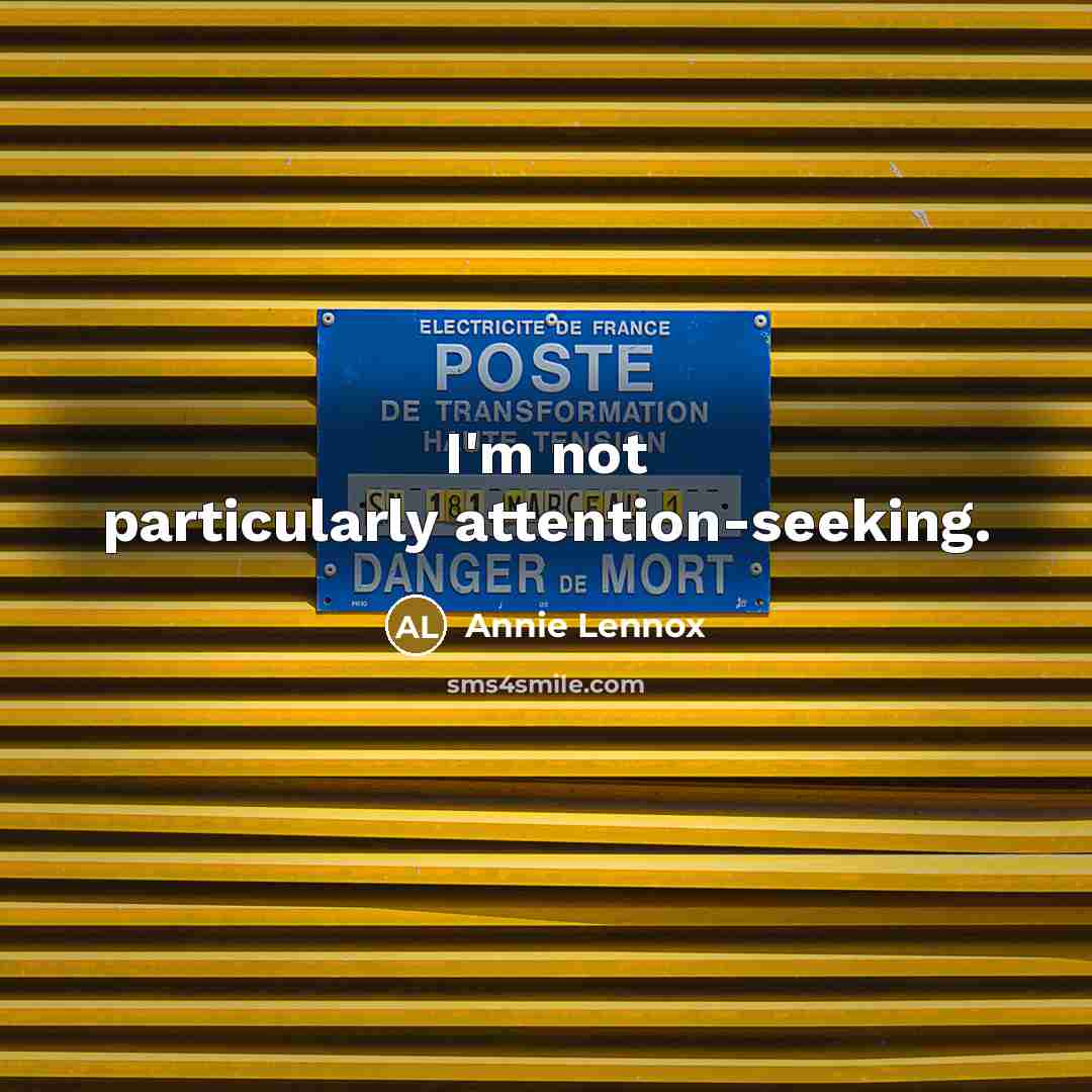 “I'm not particularly attention-seeking.…” quote by Annie Lennox