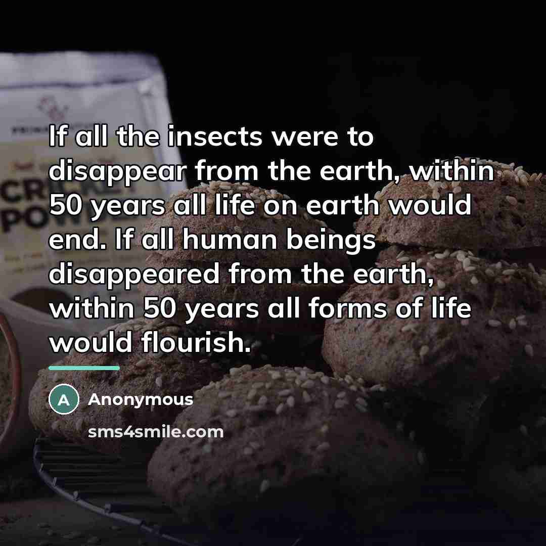 “If all the insects were to disappear from the earth,…” quote by Check Snopes.com
