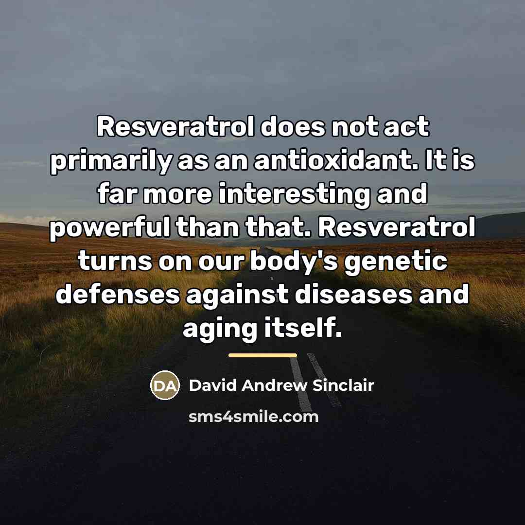 “Resveratrol does not act primarily as an antioxidant. It is…” quote by David Andrew Sinclair