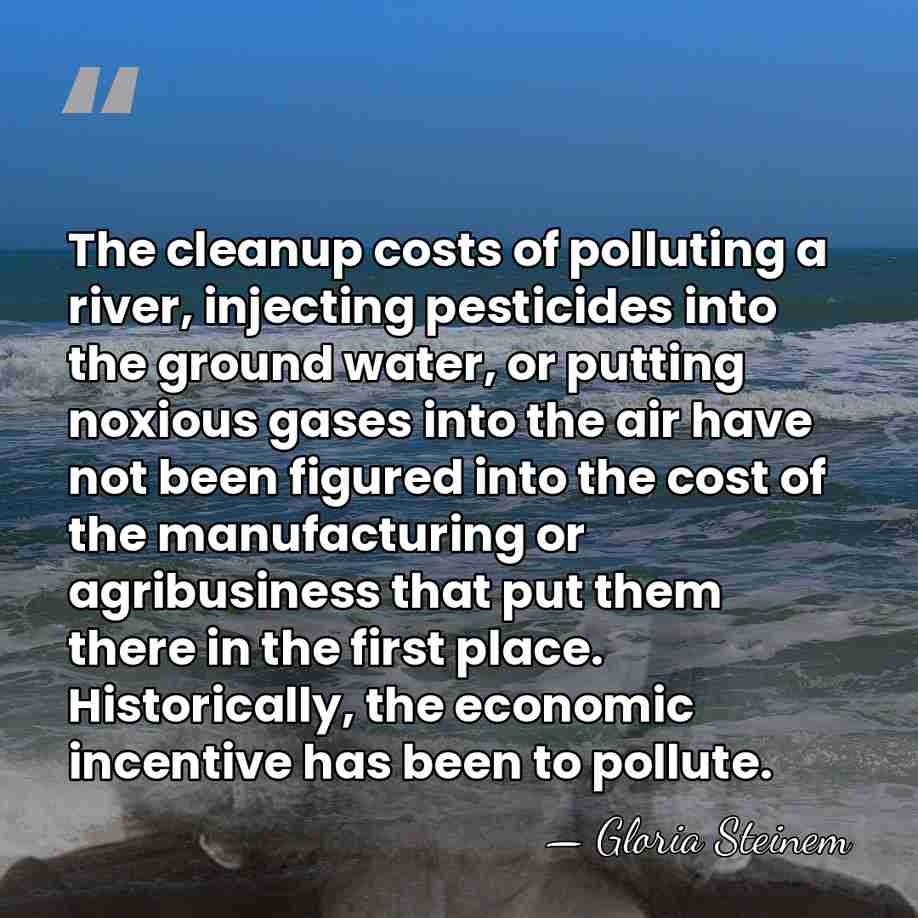 The cleanup costs of polluting a river, injecting pesticides into the ground&hellip; - Gloria Steinem