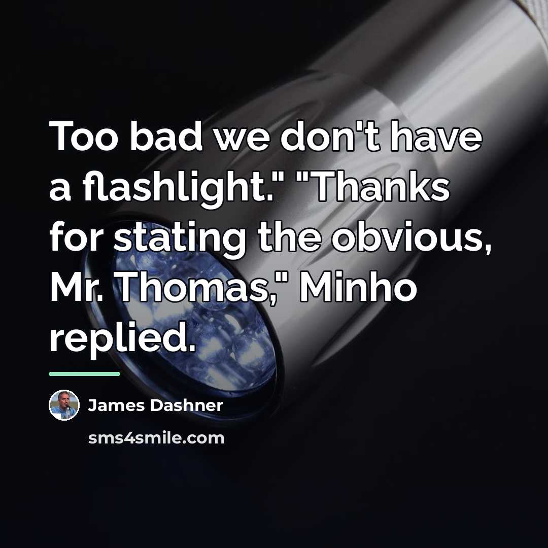 “Too bad we don't have a flashlight." "Thanks for stating…” quote by James Dashner