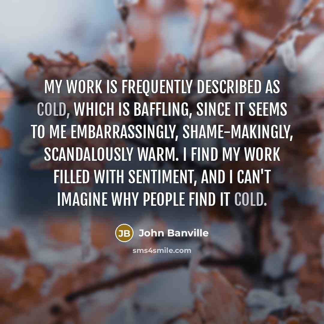 “My work is frequently described as cold, which is baffling,…” quote by John Banville