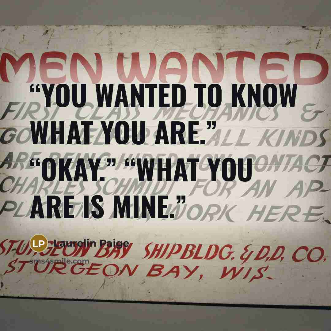 “You wanted to know what you are.” “Okay.” “What you are is mine.” quote by Laurelin Paige