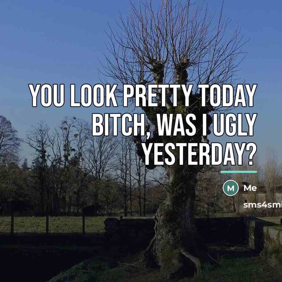 “You look pretty today Bitch, was I ugly yesterday?…” quote by Me