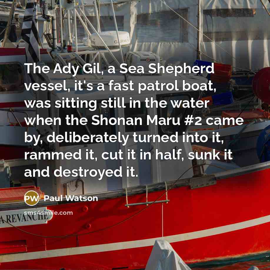 “The Ady Gil, a Sea Shepherd vessel, it's a fast…” quote by Paul Watson