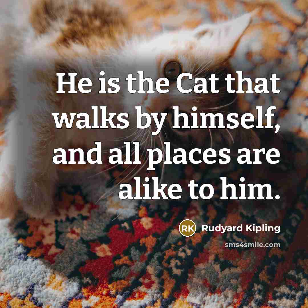 “He is the Cat that walks by himself, and all places are alike to him.” quote by Rudyard Kipling