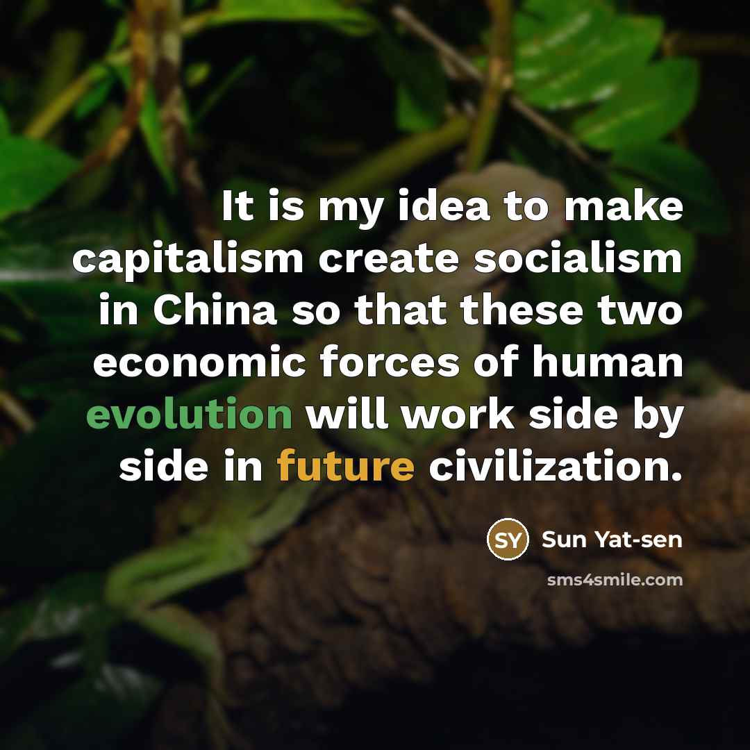 “It is my idea to make capitalism create socialism in…” quote by Sun Yat-sen