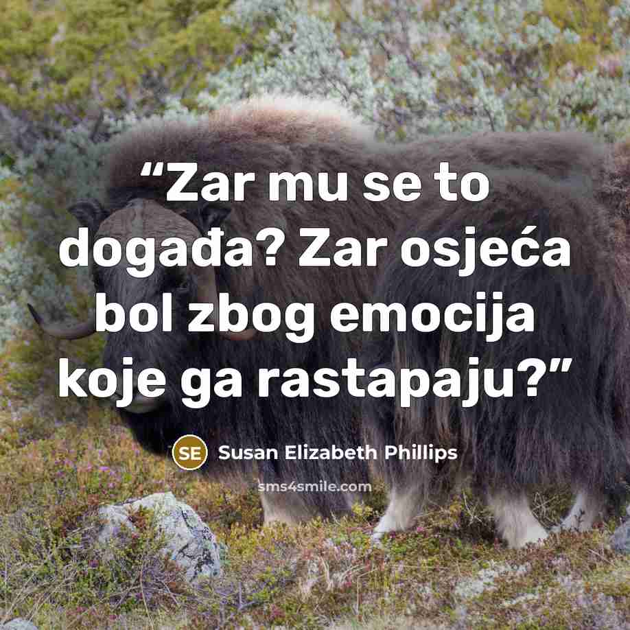 “Zar mu se to događa? Zar osjeća bol zbog emocija koje ga rastapaju?” quote by Susan Elizabeth Phillips