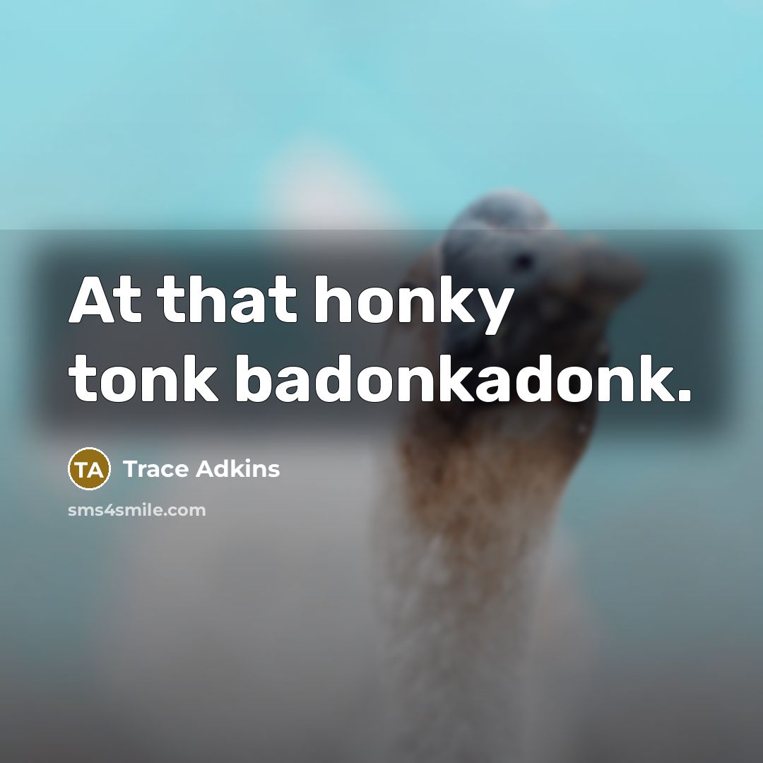 “At that honky tonk badonkadonk.” quote by Trace Adkins