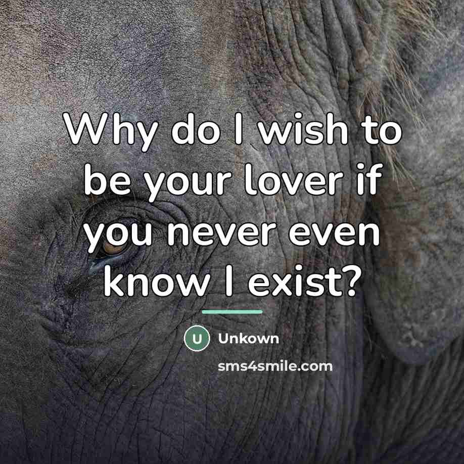 “Why do I wish to be your lover if you…” quote by Unkown