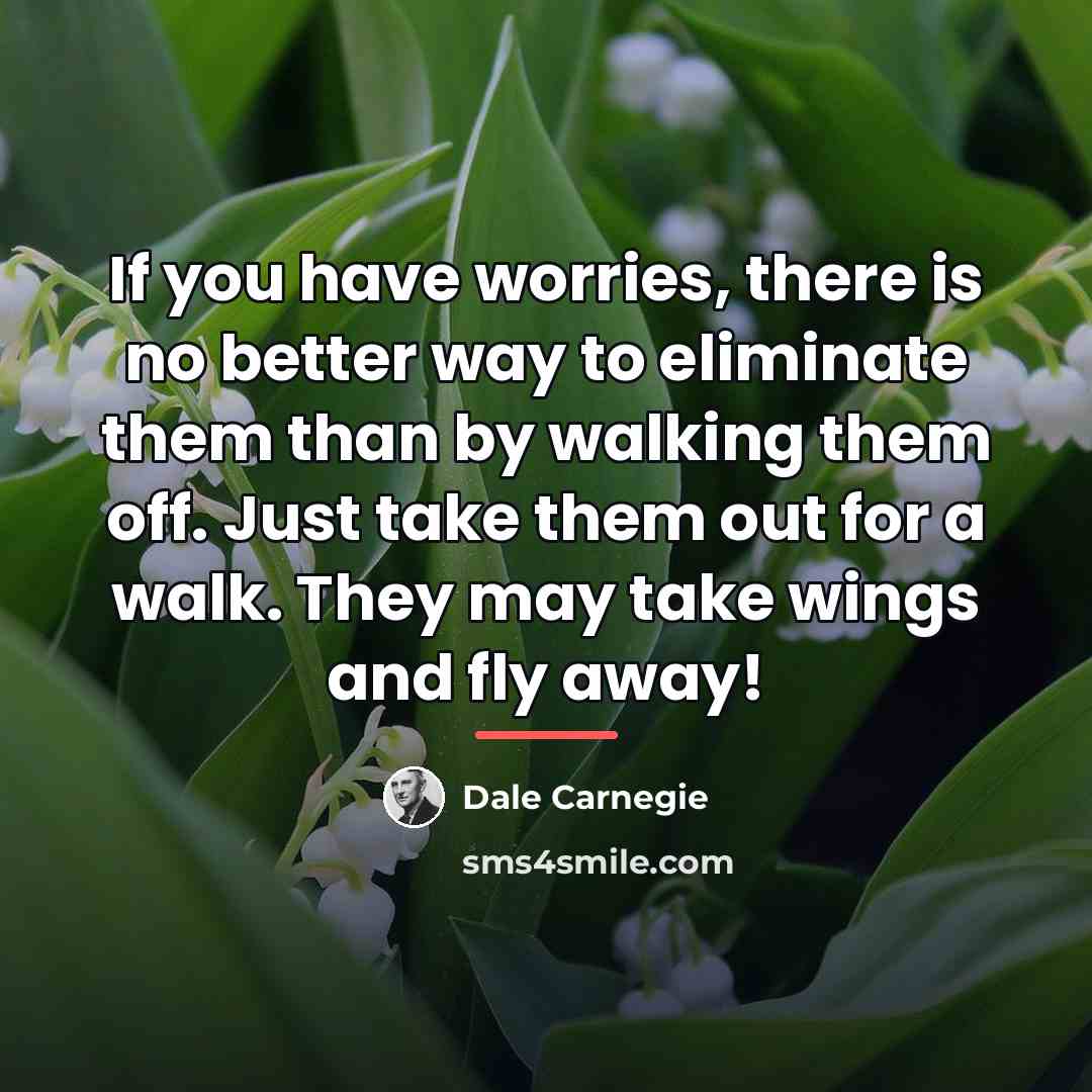 “If you have worries, there is no better way to…” quote by Dale Carnegie