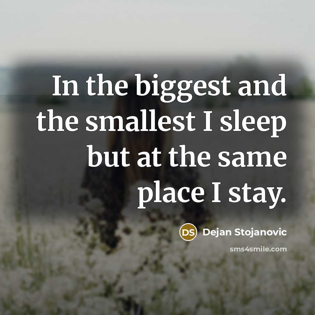 “In the biggest and the smallest I sleep but at…” quote by Dejan Stojanovic