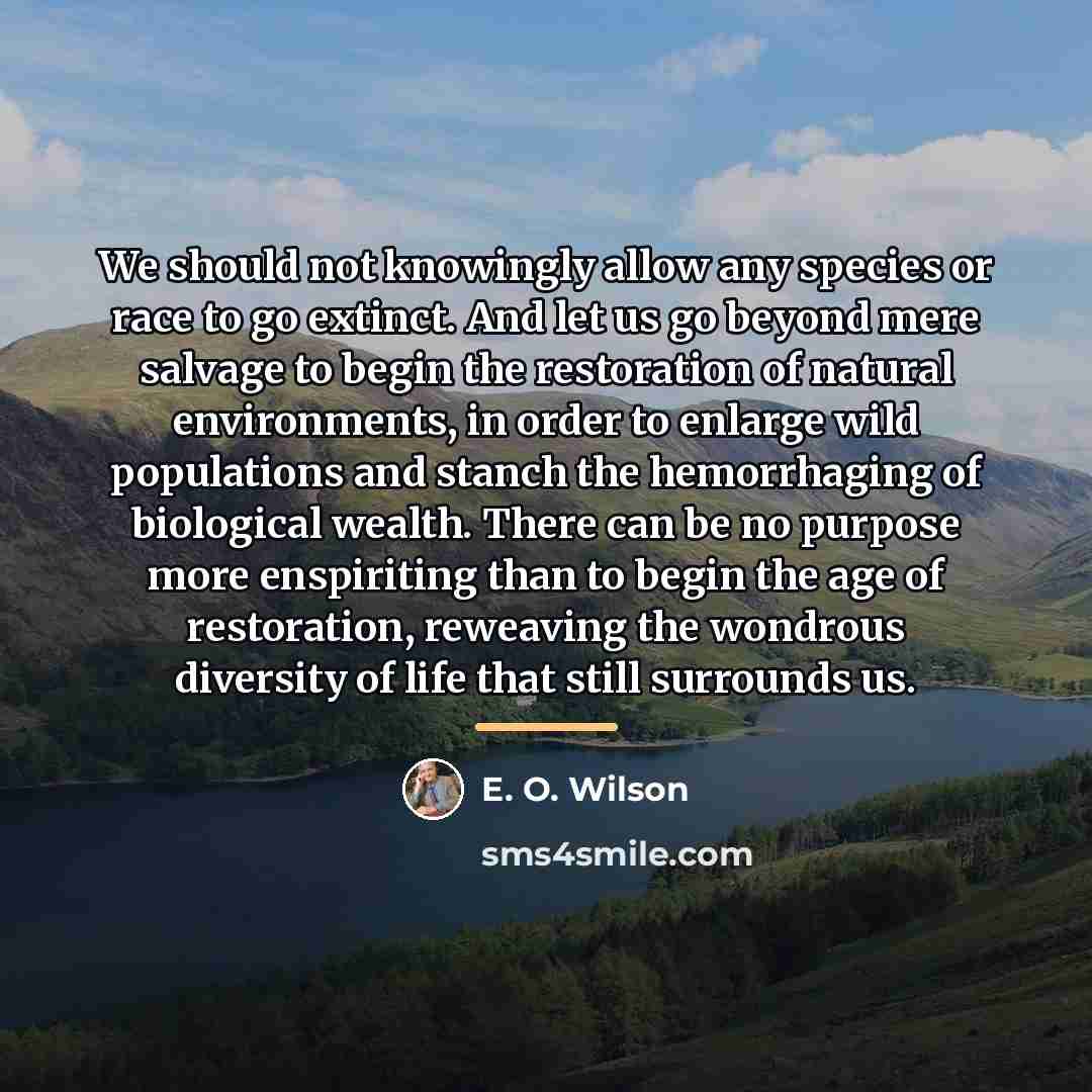 “We should not knowingly allow any species or race to…” quote by E. O. Wilson