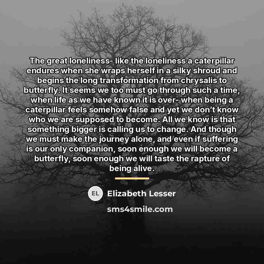“The great loneliness- like the loneliness a caterpillar endures when…” quote by Elizabeth Lesser