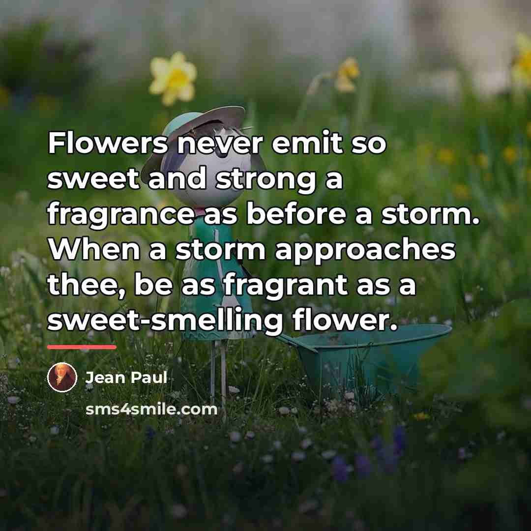 “Flowers never emit so sweet and strong a fragrance as…” quote by Jean Paul