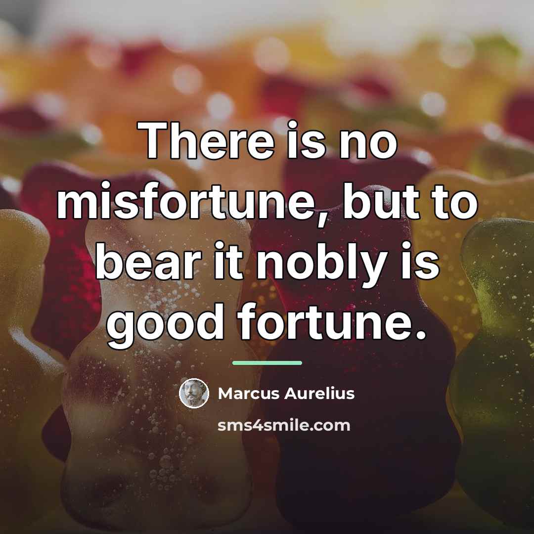 “There is no misfortune, but to bear it nobly is…” quote by Marcus Aurelius