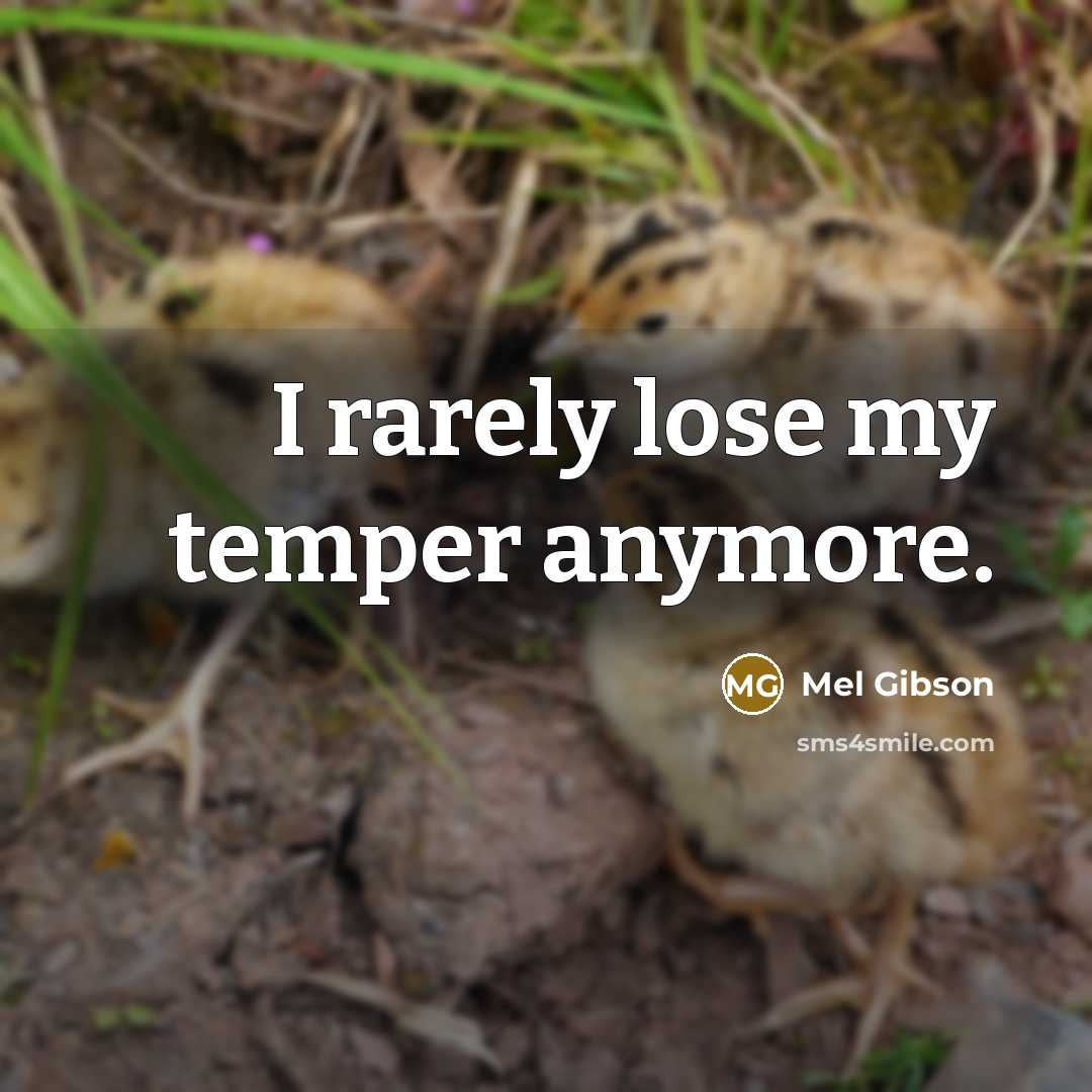 “I rarely lose my temper anymore.…” quote by Mel Gibson