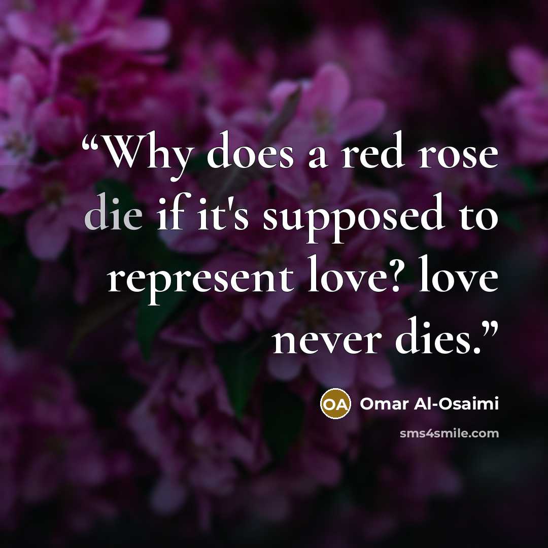 “Why does a red rose die if it's supposed to represent love? love never dies.” quote by Omar Al-Osaimi