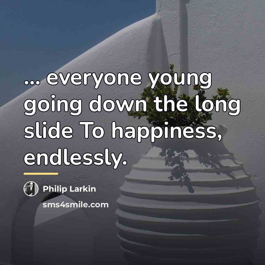 “... everyone young going down the long slide To happiness,…” quote by Philip Larkin