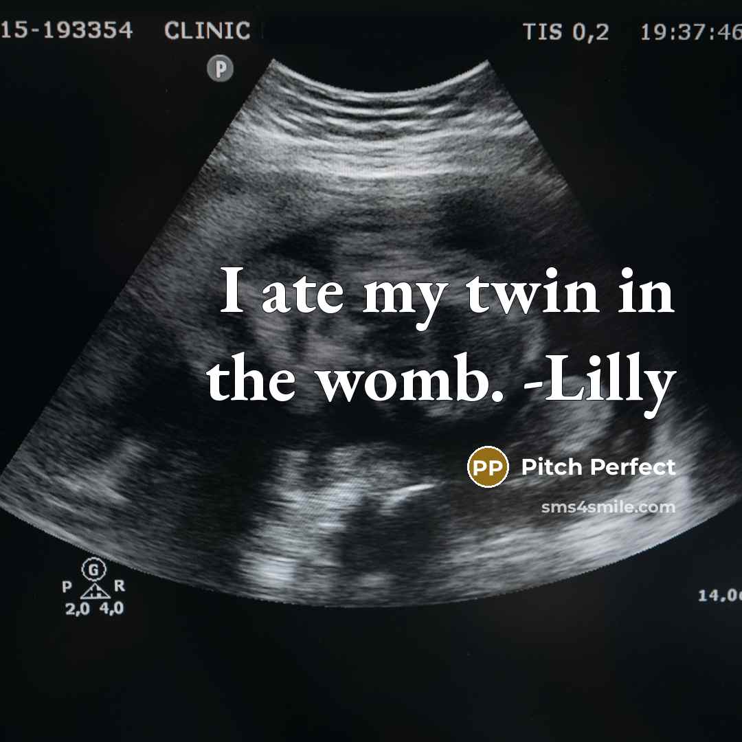“I ate my twin in the womb. -Lilly…” quote by Pitch Perfect
