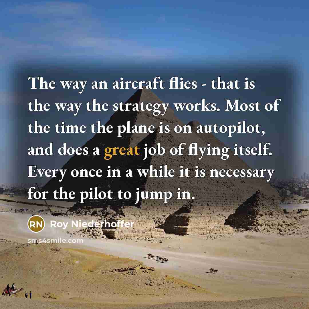 “The way an aircraft flies - that is the way…” quote by Roy Niederhoffer