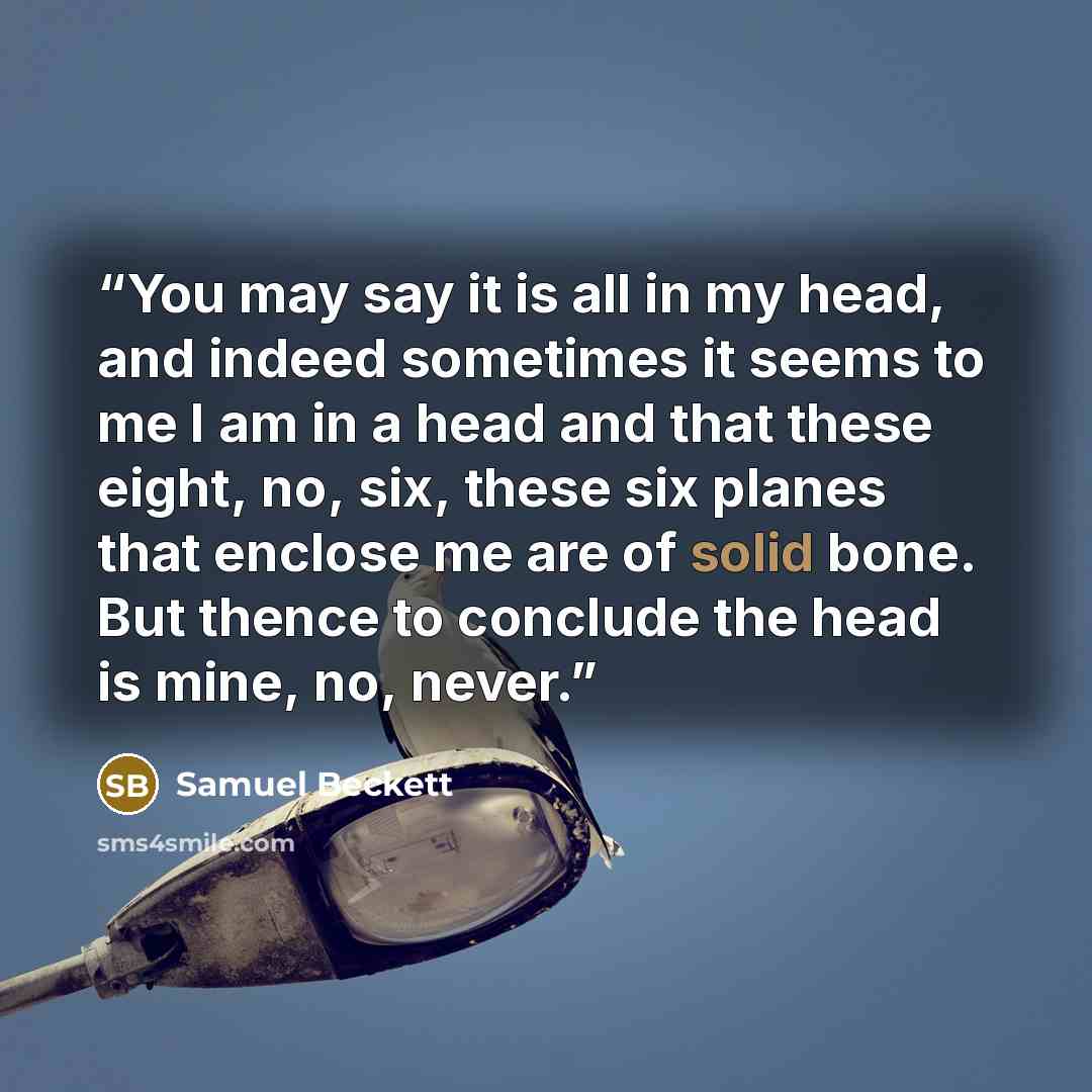 “You may say it is all in my head, and indeed sometimes it seems to me I am in a head and that these eight, no, six, these six planes that enclose me are of solid bone. But thence to conclude the head is mine, no, never.” quote by Samuel Beckett