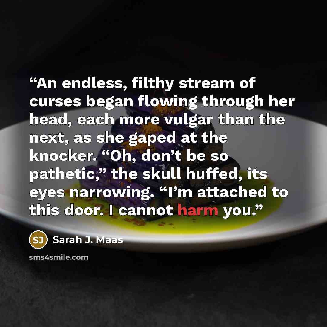 “An endless, filthy stream of curses began flowing through her head, each more vulgar than the next, as she gaped at the knocker. “Oh, don’t be so pathetic,” the skull huffed, its eyes narrowing. “I’m attached to this door. I cannot harm you.” quote by Sarah J. Maas