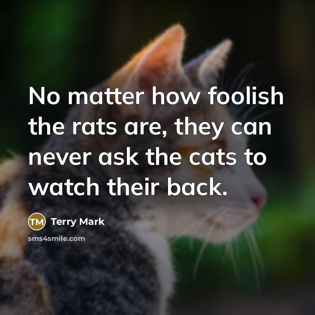 “No matter how foolish the rats are, they can never ask the cats to watch their back.” quote by Terry Mark
