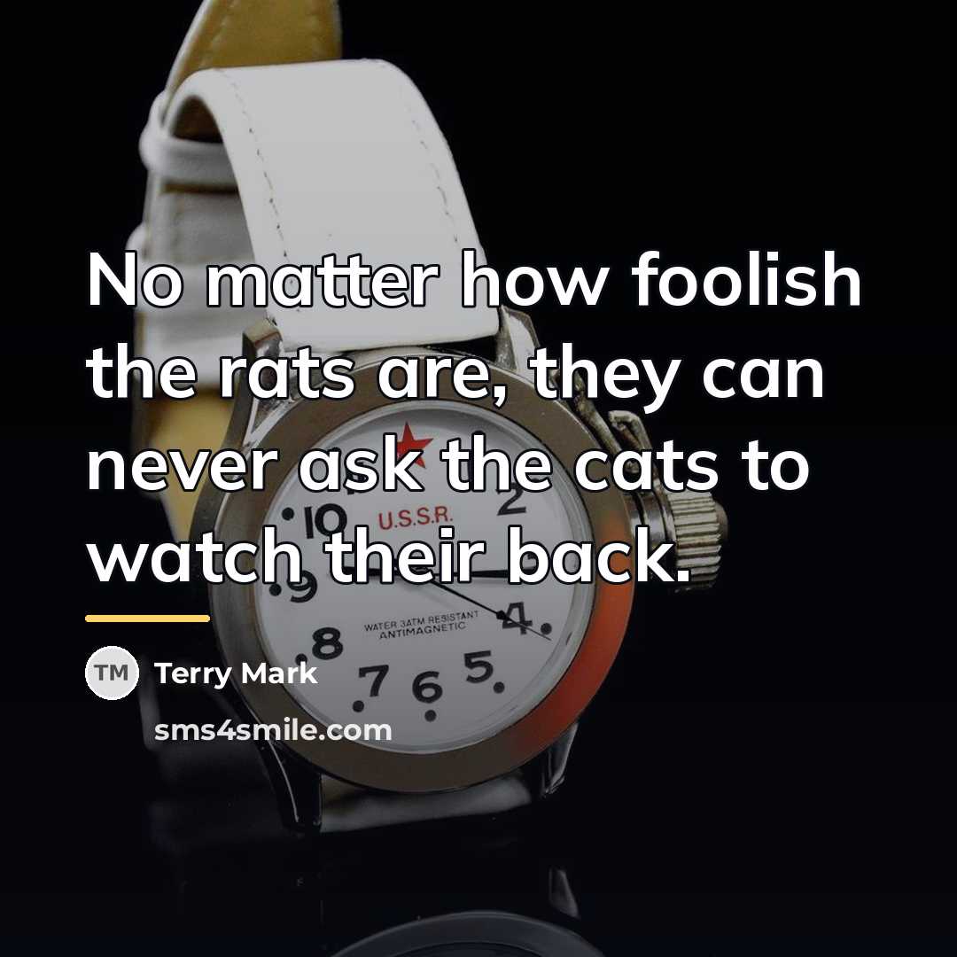 “No matter how foolish the rats are, they can never…” quote by Terry Mark