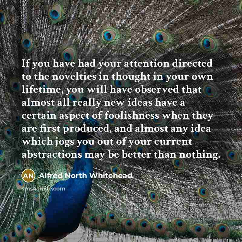 “If you have had your attention directed to the novelties…” quote by Alfred North Whitehead