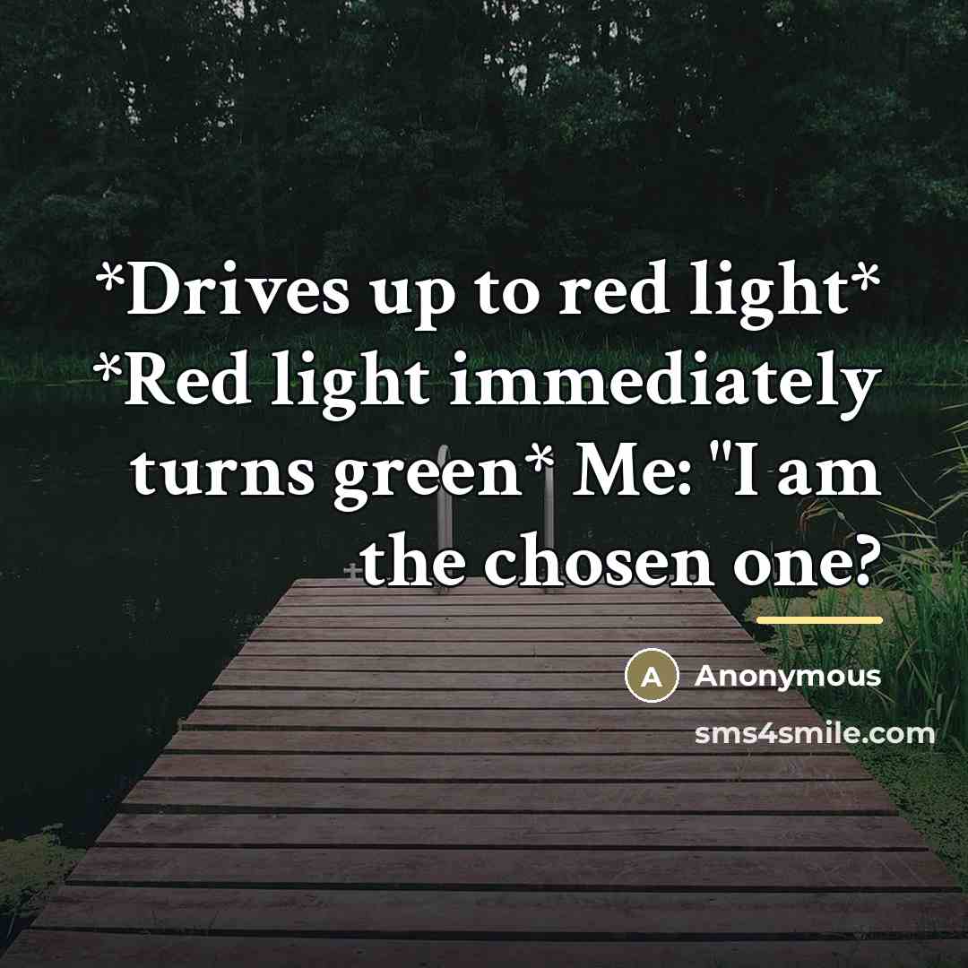 “*Drives up to red light* *Red light immediately turns green*…” quote by Anonymous