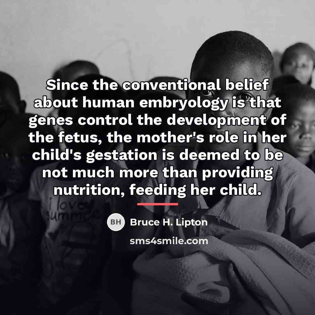 “Since the conventional belief about human embryology is that genes…” quote by Bruce H. Lipton