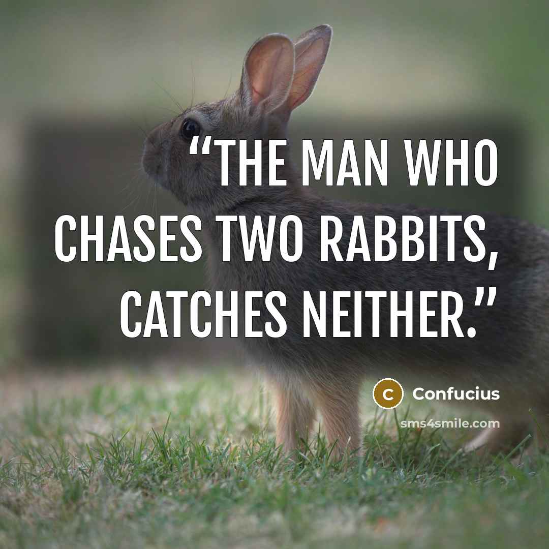 “The man who chases two rabbits, catches neither.” quote by Confucius