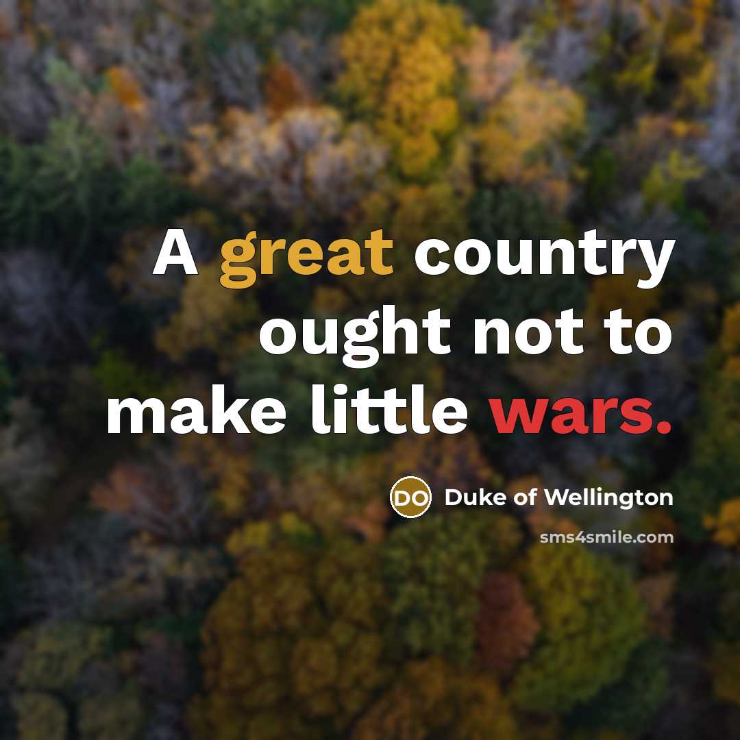 “A great country ought not to make little wars.…” quote by Duke of Wellington