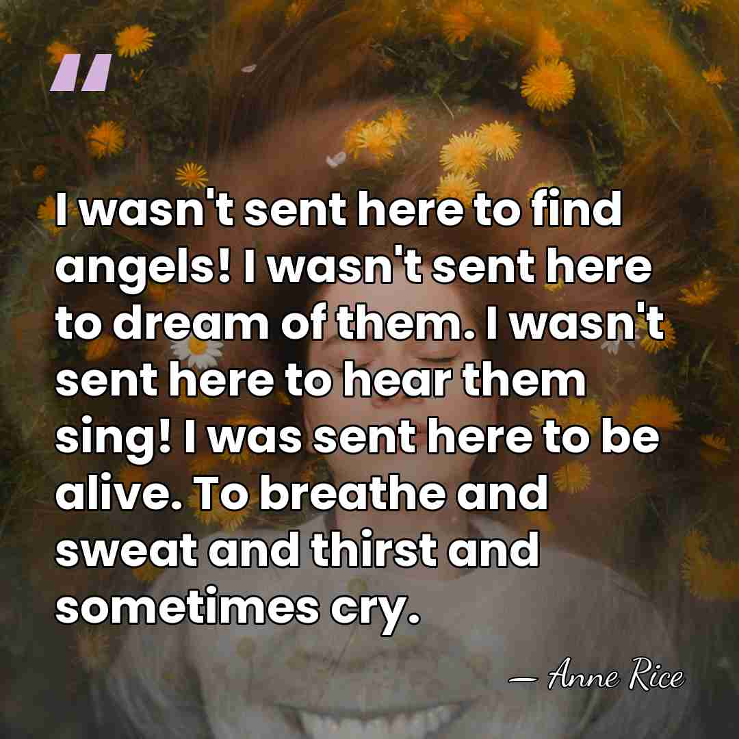 I wasn't sent here to find angels! I wasn't sent here to&hellip; - Anne Rice