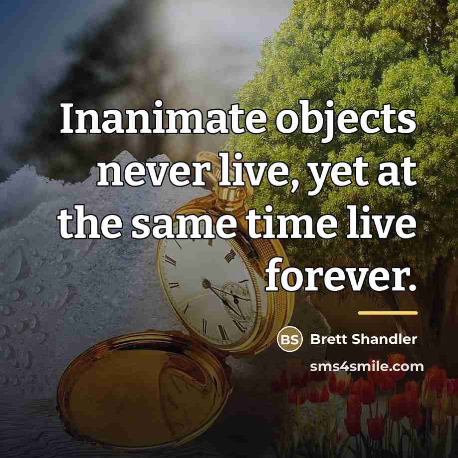 “Inanimate objects never live, yet at the same time live…” quote by Brett Shandler