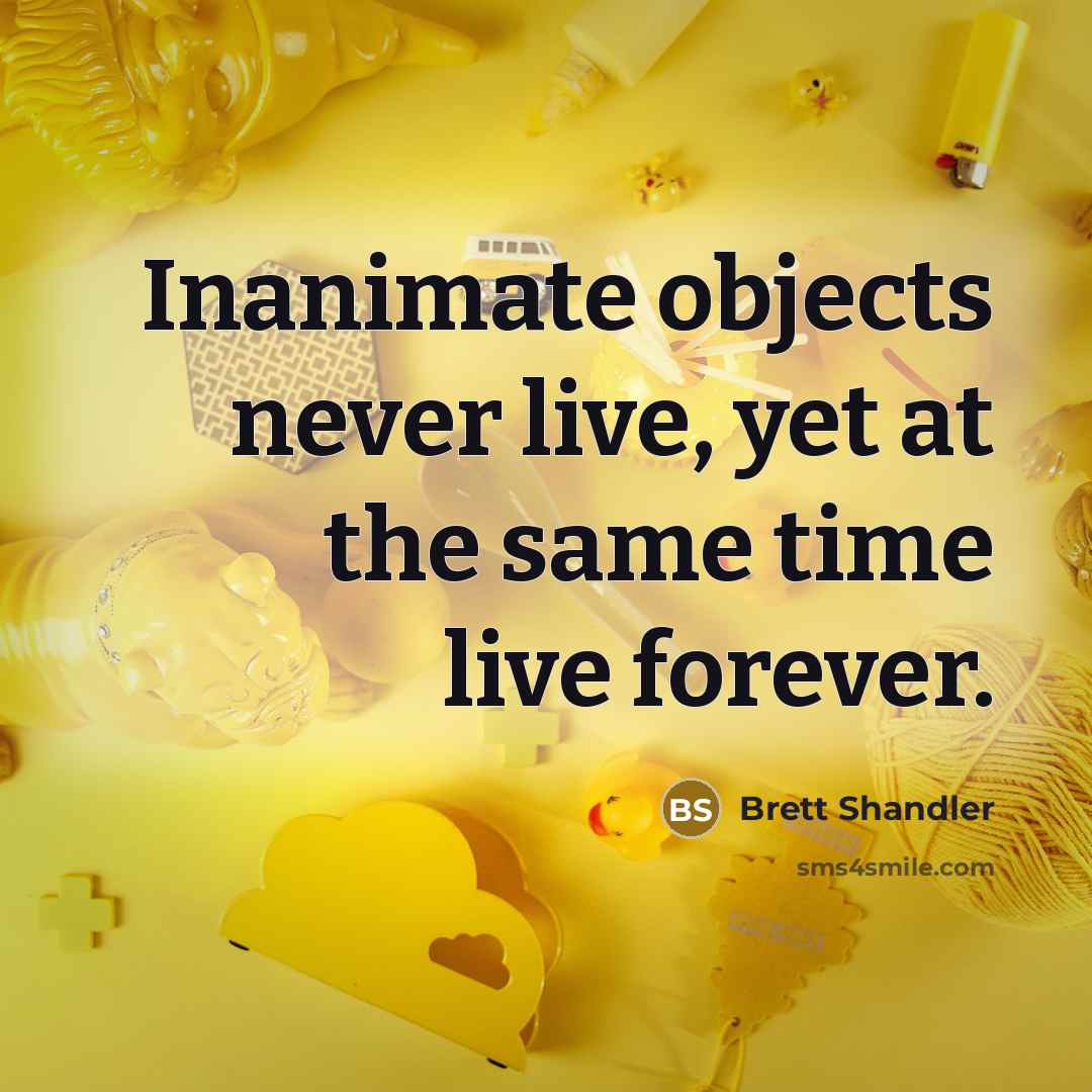 “Inanimate objects never live, yet at the same time live forever.” quote by Brett Shandler