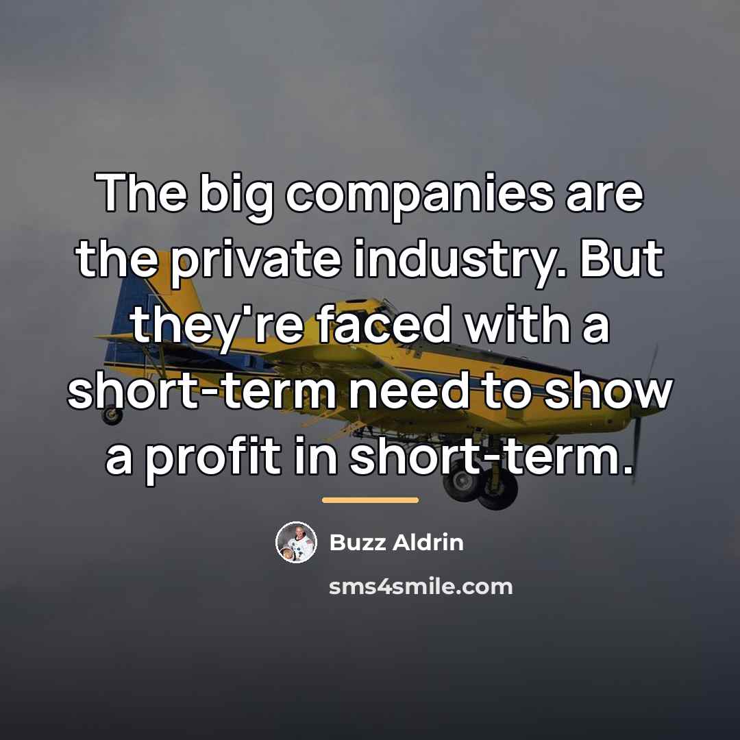 “The big companies are the private industry. But they're faced…” quote by Buzz Aldrin