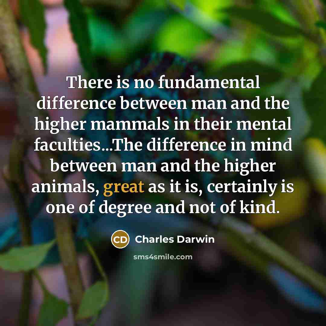 “There is no fundamental difference between man and the higher…” quote by Charles Darwin